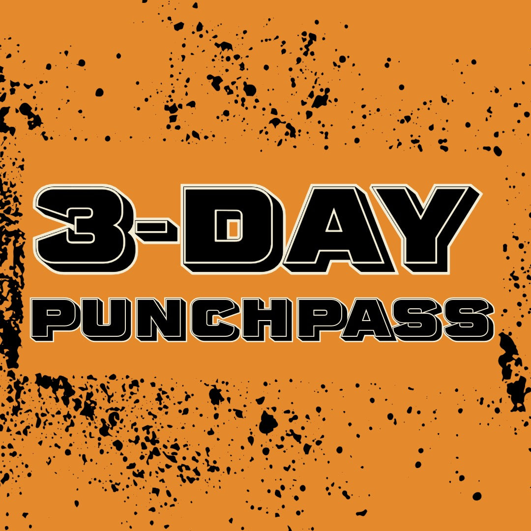 3 Day Punch Pass